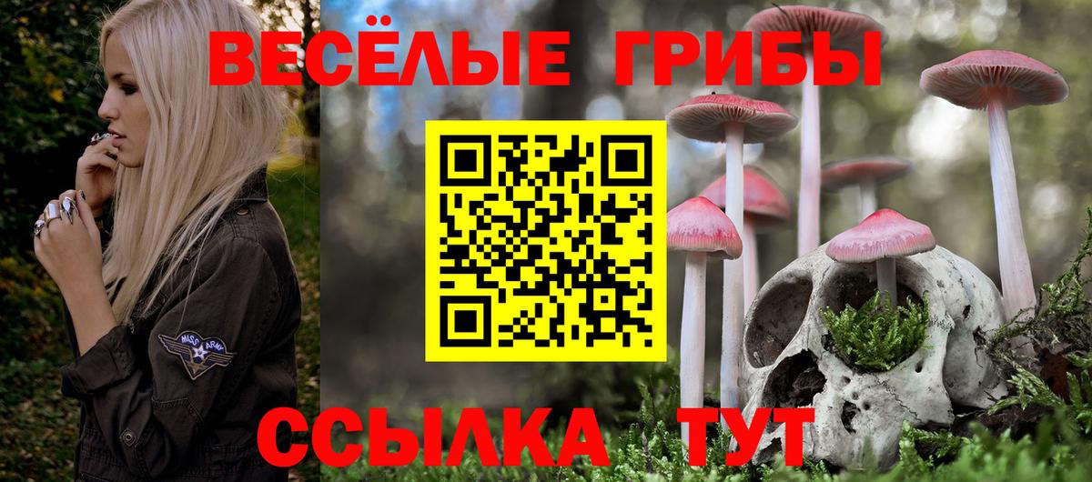 Псилоцибиновые грибы Psilocybine cubensis  Вход с VPN  Каменск-Уральский 