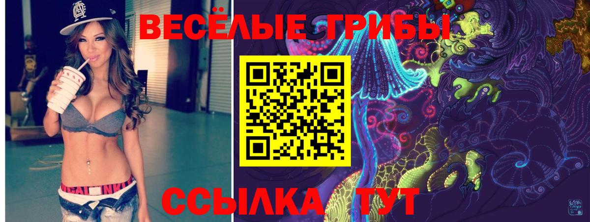 Галлюциногенные грибы Magic Shrooms Каменск-Уральский